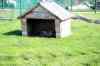 200908310468m.jpg - 2009:08:31 14:59:06