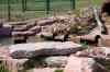 200908310474m.jpg - 2009:08:31 15:00:13