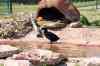 200908310478m.jpg - 2009:08:31 15:00:25