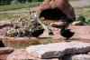 200908310481m.jpg - 2009:08:31 15:01:14