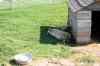 200908310486m.jpg - 2009:08:31 15:03:00