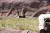 200908310497m.jpg - 2009:08:31 15:07:49