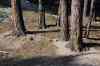 200908310550m.jpg - 2009:08:31 16:25:58