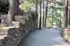 200908310579m.jpg - 2009:08:31 16:57:21