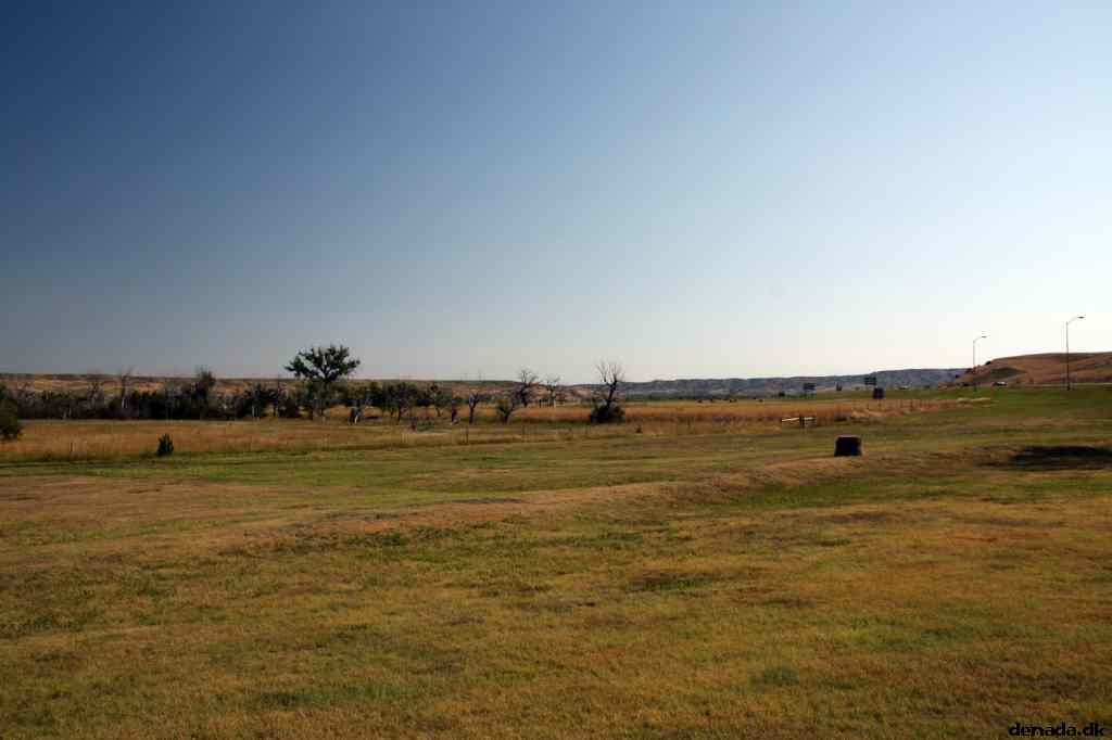 * Image 7