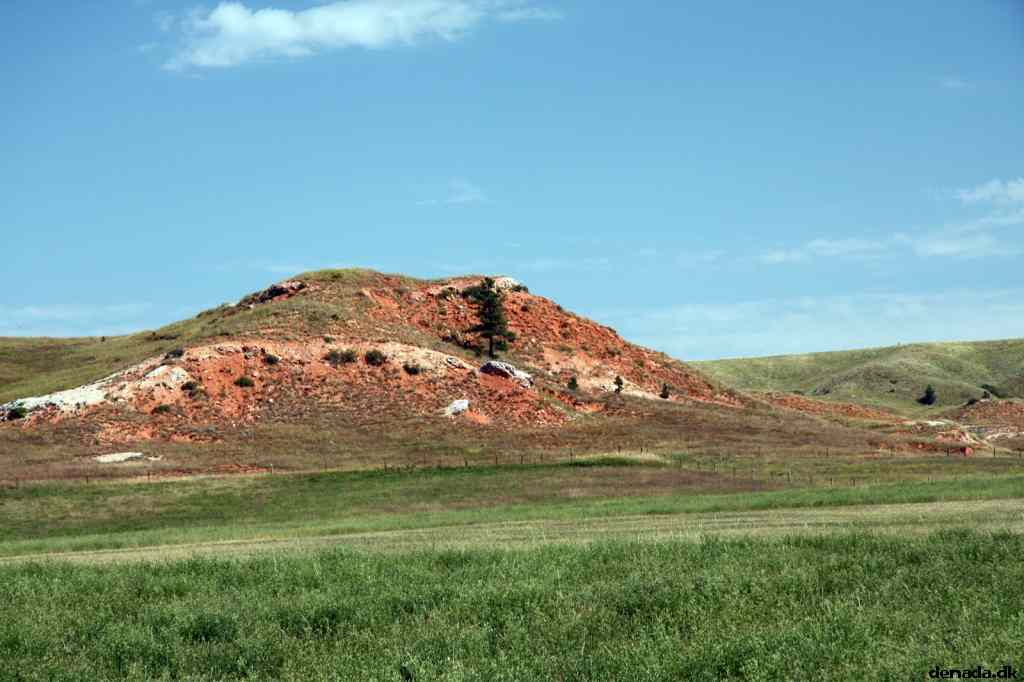* Image 14
