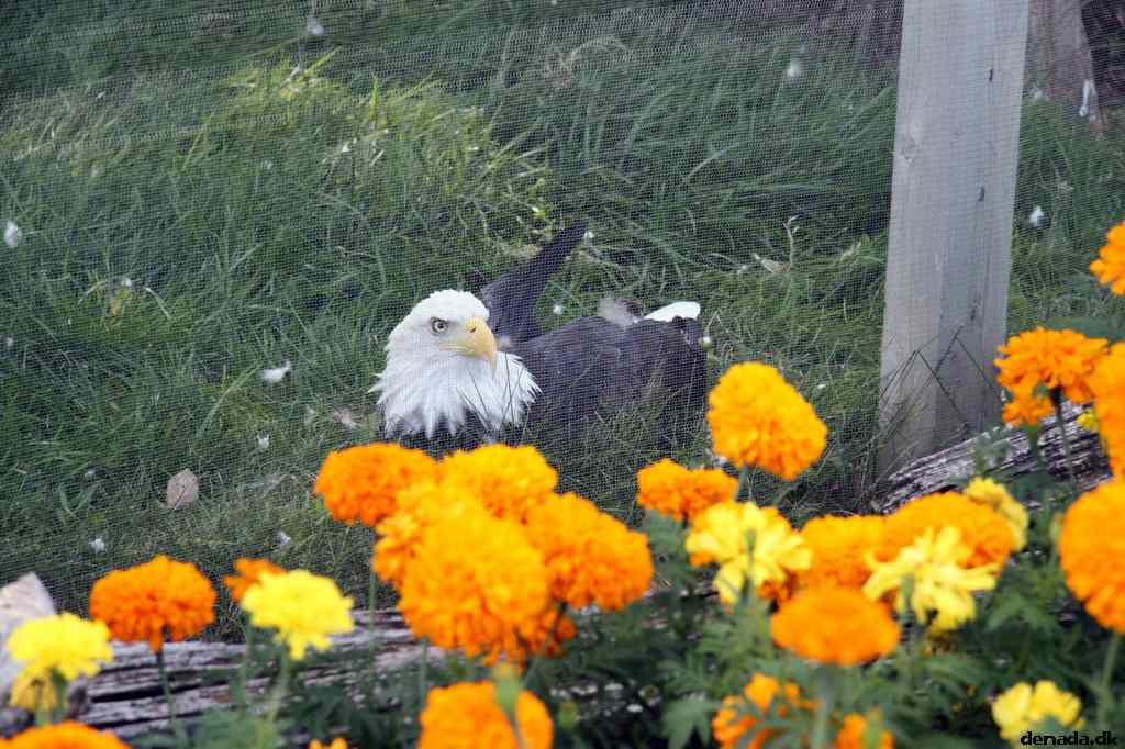 * Image 21