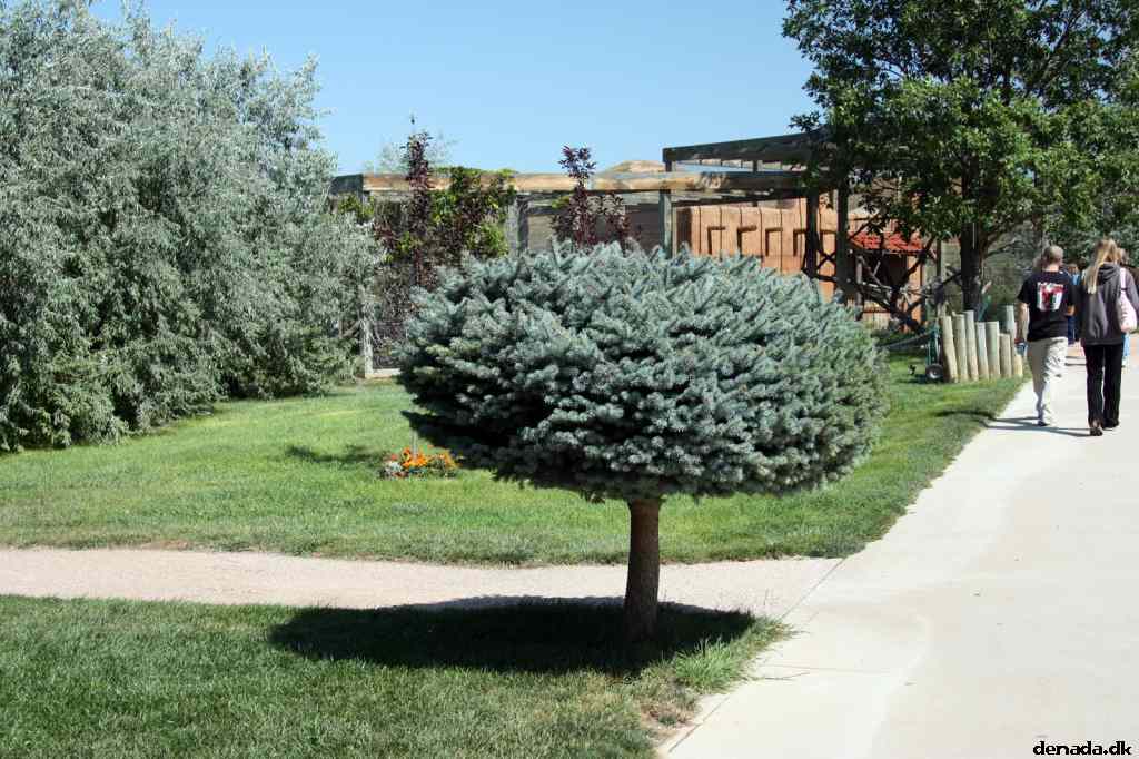 * Image 40