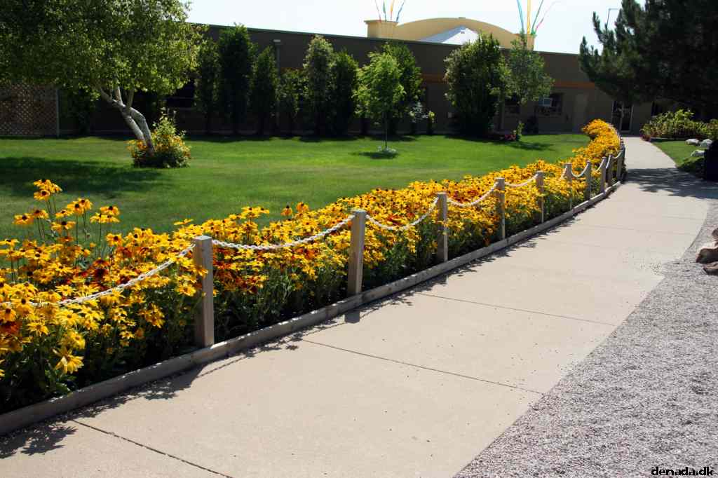 * Image 48
