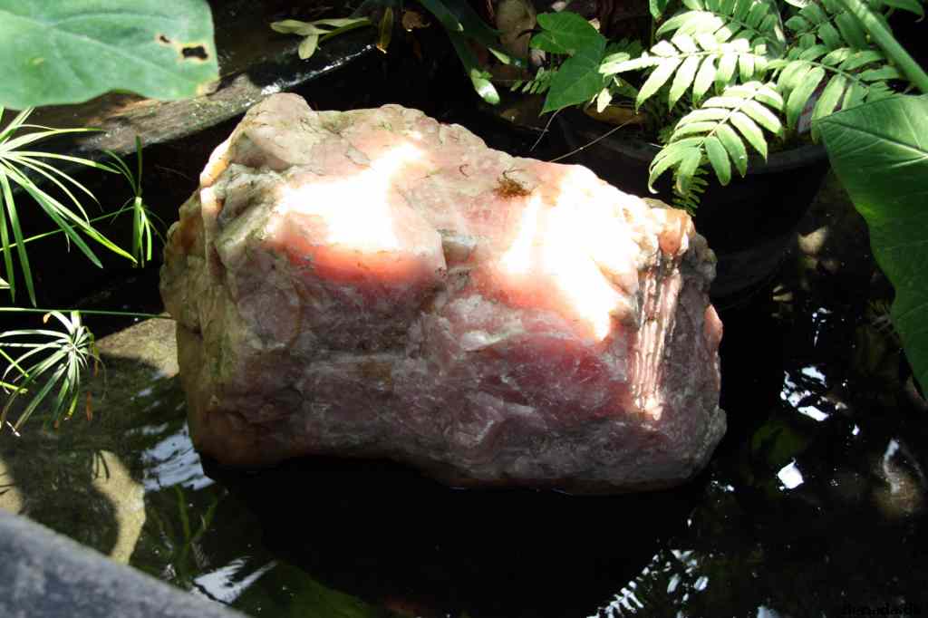 * Image 110
