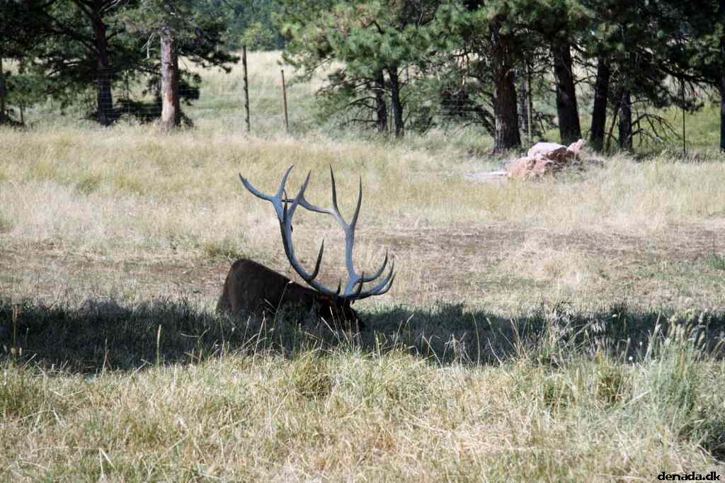 * Image 125