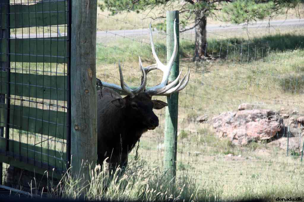 * Image 127