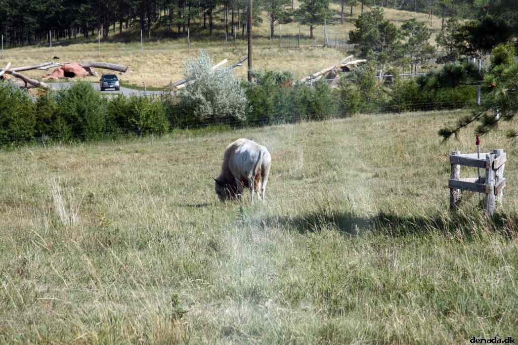 * Image 146