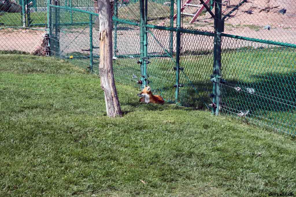 * Image 150