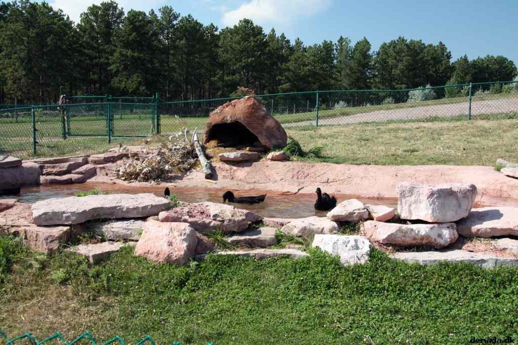 * Image 160