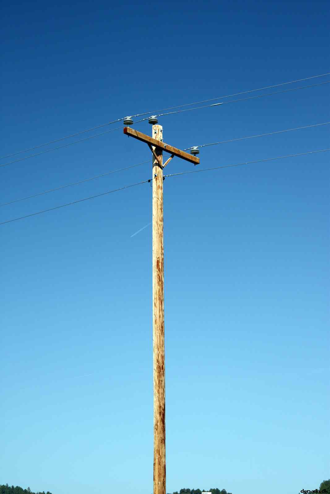 * Image 13