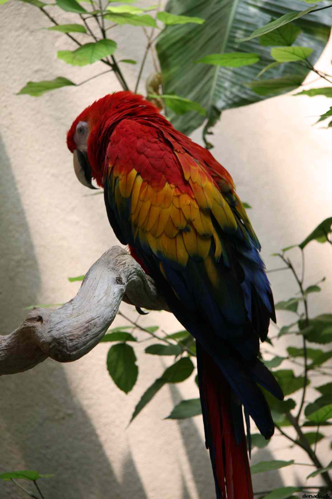 * Image 113