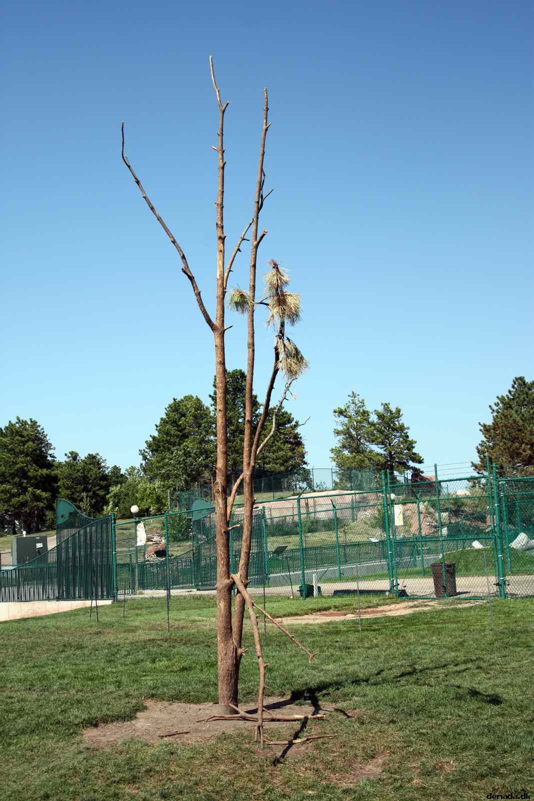 * Image 155