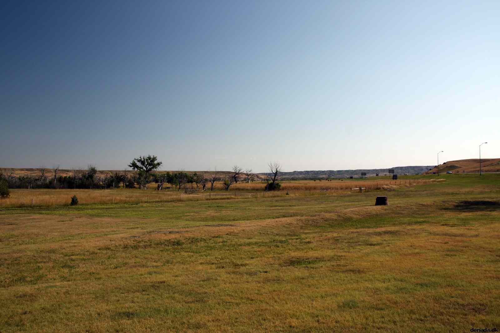 * Image 7