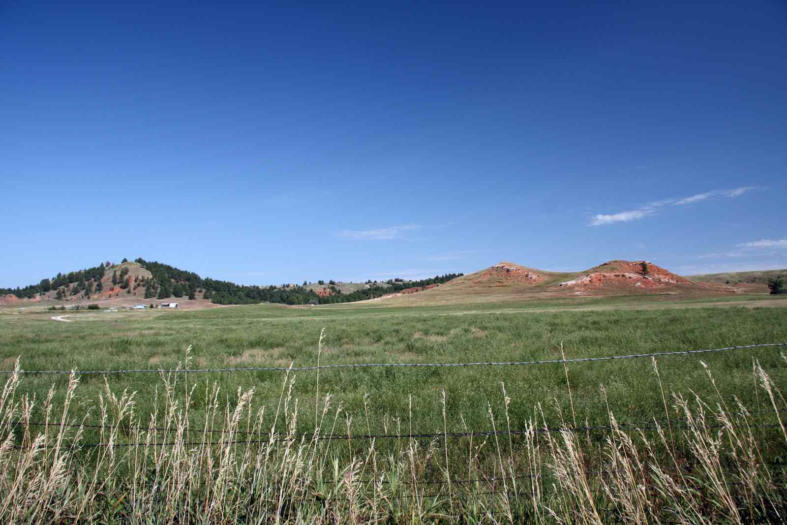 * Image 15
