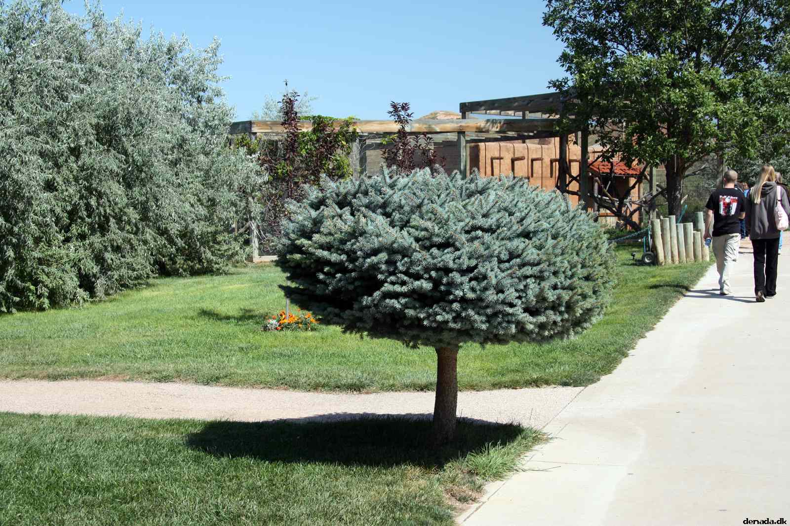 * Image 40