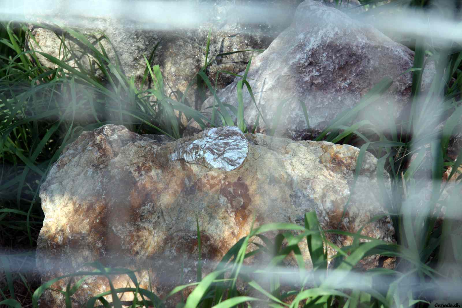 * Image 43