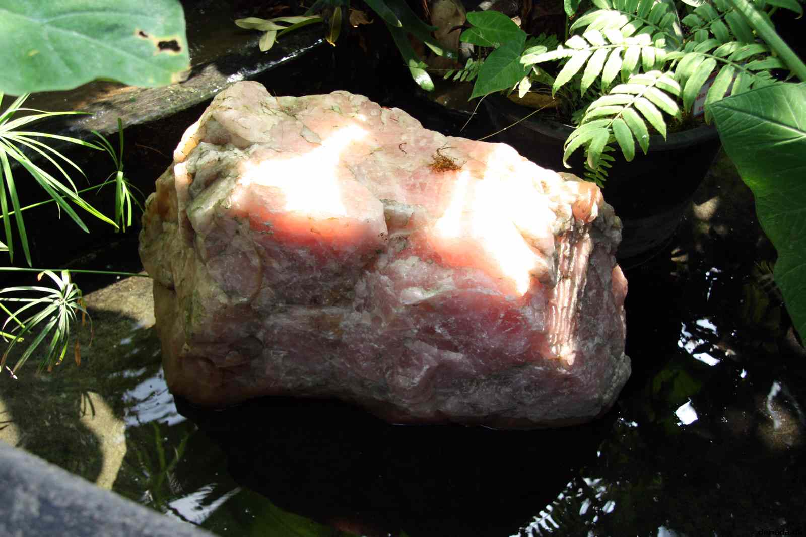 * Image 110