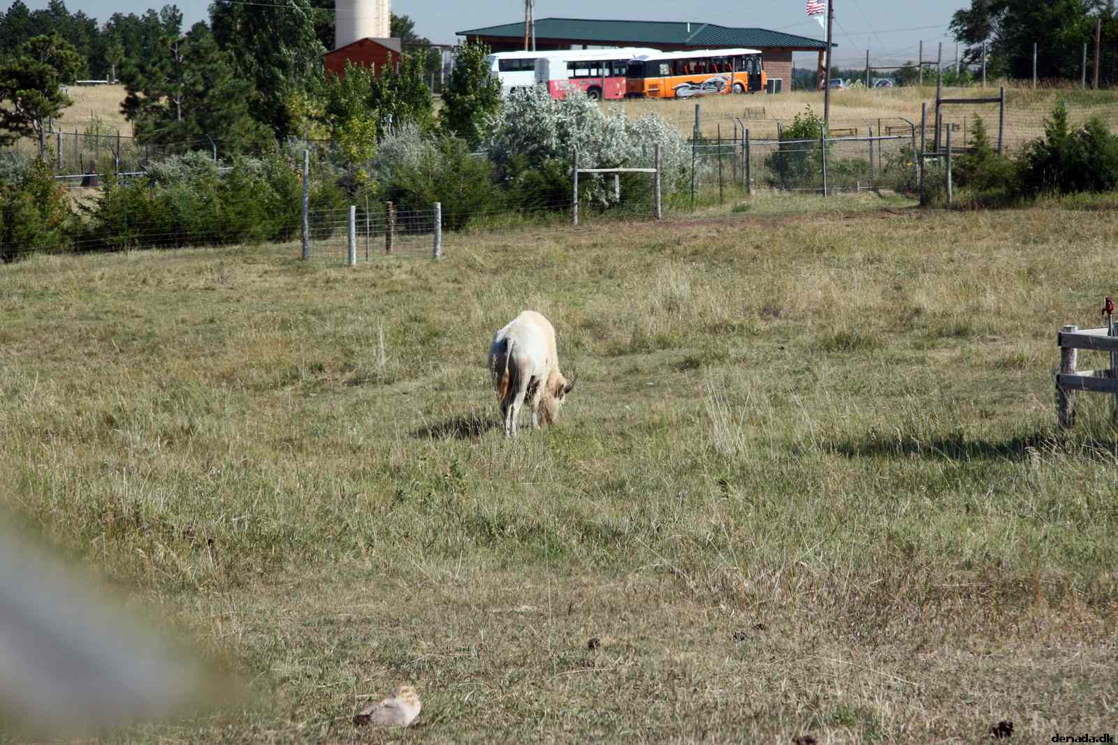 * Image 142