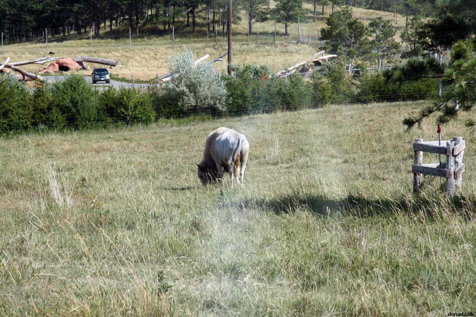 * Image 146