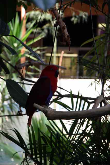 * Image 111