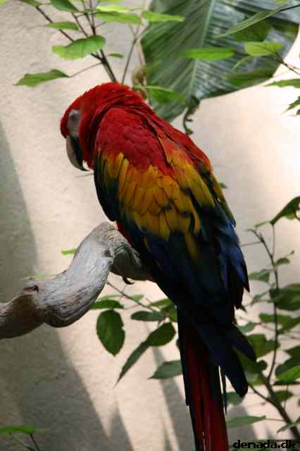 * Image 113