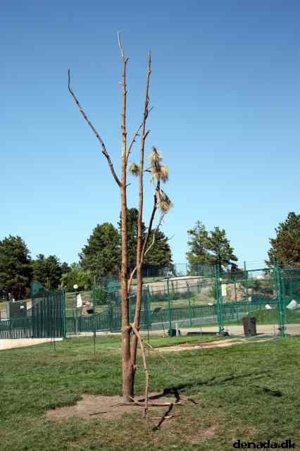 * Image 155