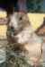 200908310066m.jpg - 2009:08:31 10:59:32