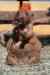200908310068m.jpg - 2009:08:31 10:59:40