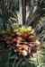 200908310299m.jpg - 2009:08:31 13:07:19