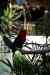 200908310311m.jpg - 2009:08:31 13:13:20