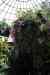 200908310325m.jpg - 2009:08:31 13:30:29