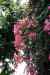 200908310328m.jpg - 2009:08:31 13:31:00