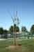 200908310453m.jpg - 2009:08:31 14:55:52