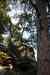 200908310542m.jpg - 2009:08:31 16:17:45