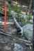200908310549m.jpg - 2009:08:31 16:20:56