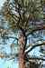 200908310574m.jpg - 2009:08:31 16:50:46