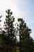 200908310576m.jpg - 2009:08:31 16:52:51