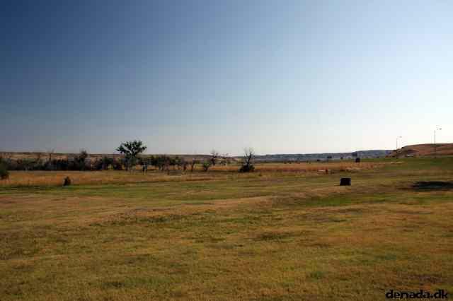 * Image 7