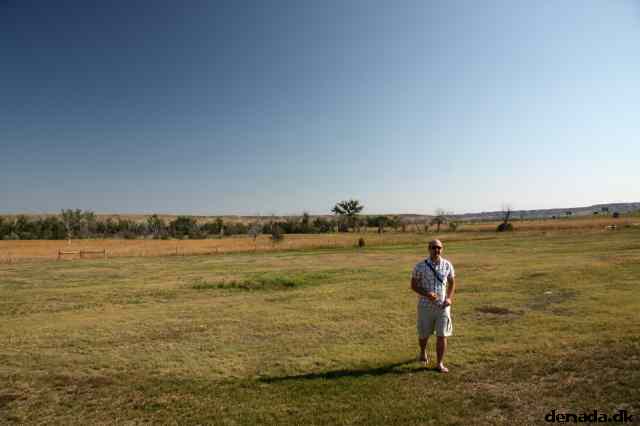 * Image 10