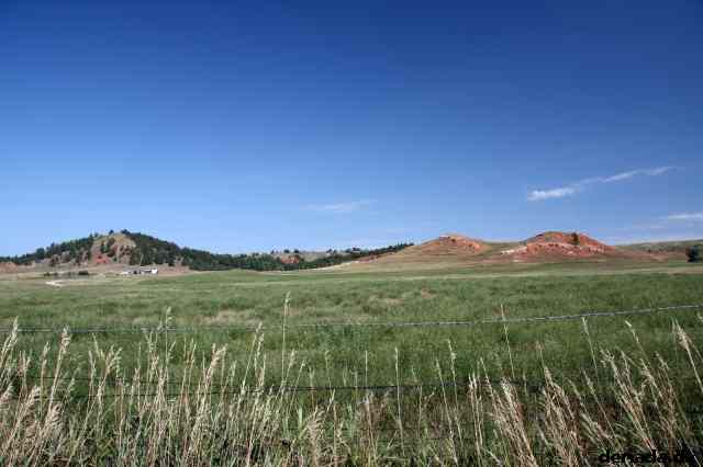* Image 15