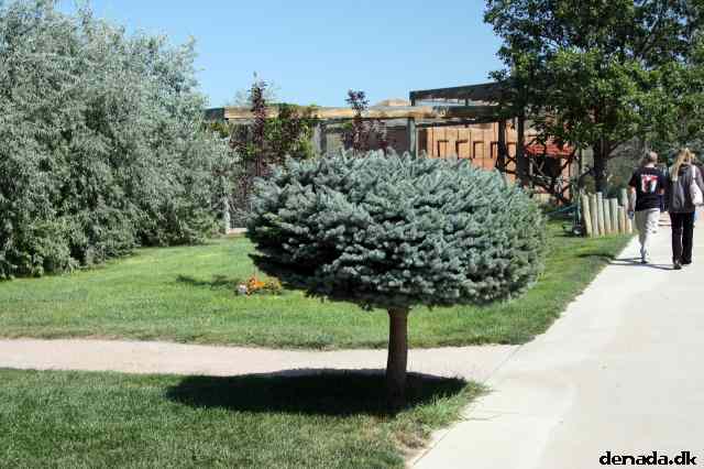 * Image 40