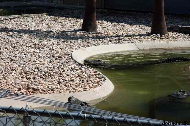 * Image 71