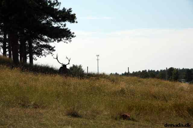 * Image 124