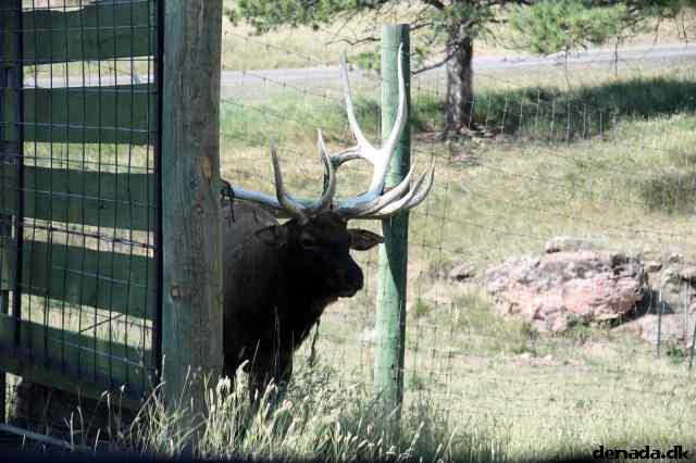 * Image 127
